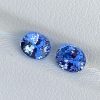 blue sapphire pair